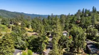 Clean Mountain Cabin- Yosemite, Dodge Ridge, Pinecrest Lake