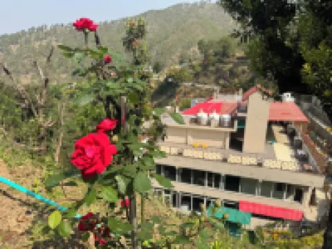 힐크레스트 밸리 라니켓