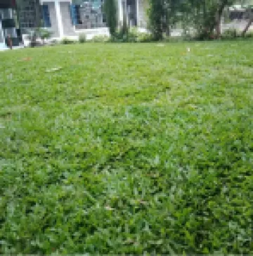 Annabelle Guest House