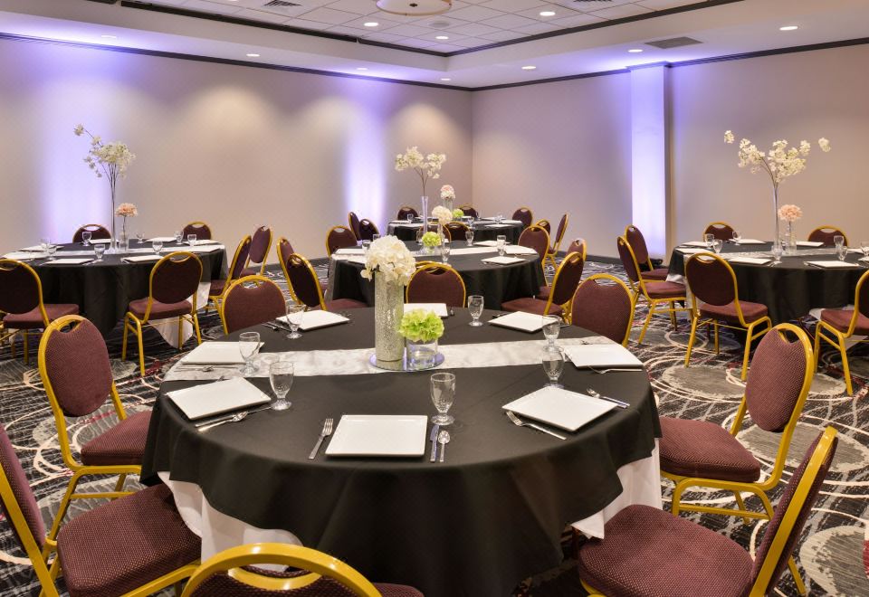 Holiday Inn Kansas City AirportOver view