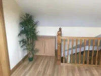 Dungannon 2 Bed Bungalow - Sleeps 5 - Pet Friendly