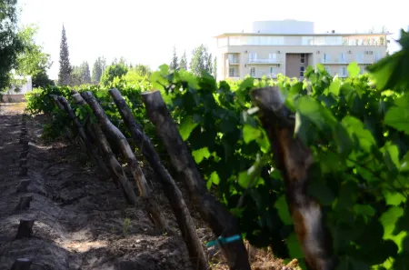 Hotel Finca Hermitage Отели в г. Гуаймальен