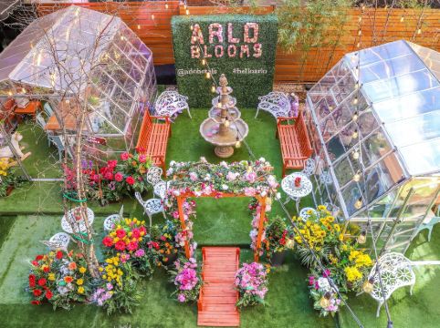 Arlo SoHo