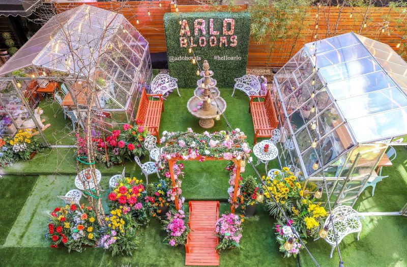 Arlo SoHo