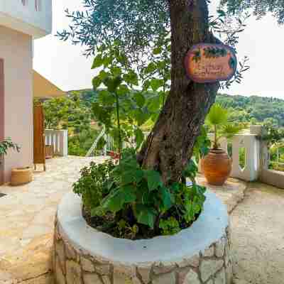 Views Apartments & Suites Others