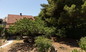 Apartment & Rooms Papa