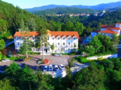 Limak Yalova Thermal Boutique Hotel Hotels in Termal