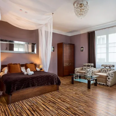 米克拉伊斯卡5號公寓酒店 鄰近大集市廣場（中央廣場）的酒店