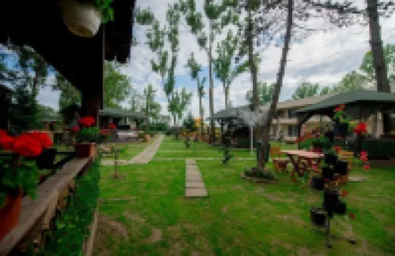 보일라 마마이아