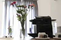 데이드리밍 하우스