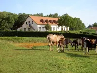 Domaine des Garennes Hotels in Sarrazac