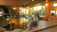 Isawa View Hotel - spa