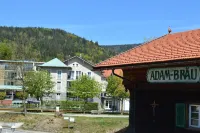 Wander- und Aktivhotel Adam Bräu Hotels in Bodenmais