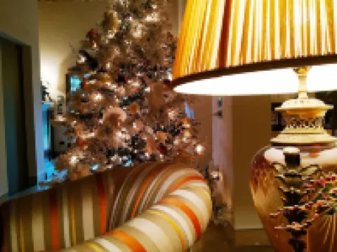 B&B Villa Delle Palme Hotels in Carpi