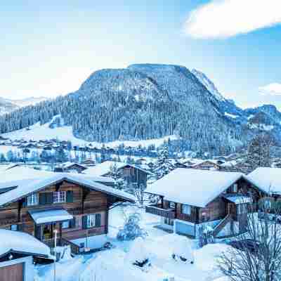 Hotel Spitzhorn Superieur Hotel Exterior