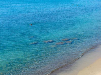 Londrino Sanremo