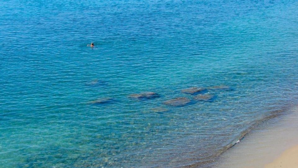 Londrino Sanremo