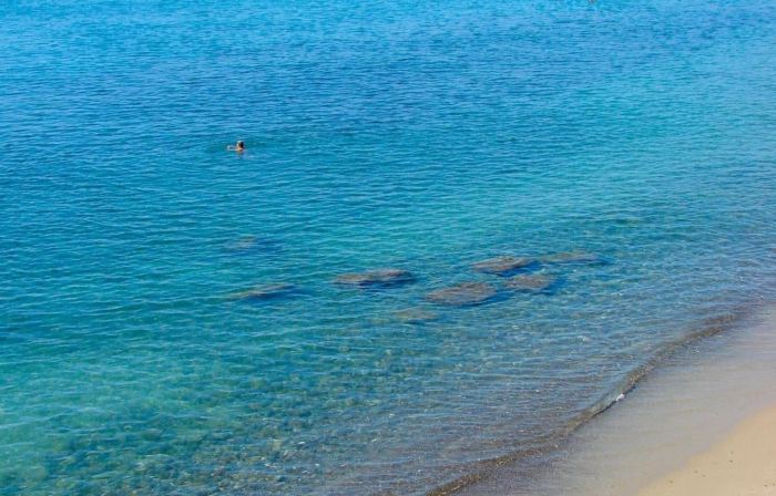 Londrino Sanremo