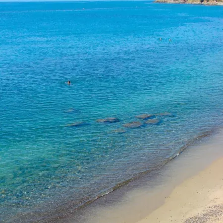 Londrino Sanremo
