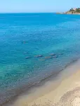Londrino Sanremo