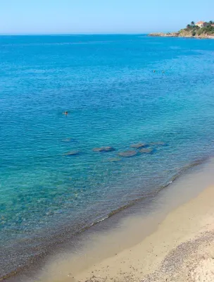 Londrino Sanremo - Kæledyr tilladt