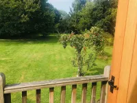 Rosebank B&B