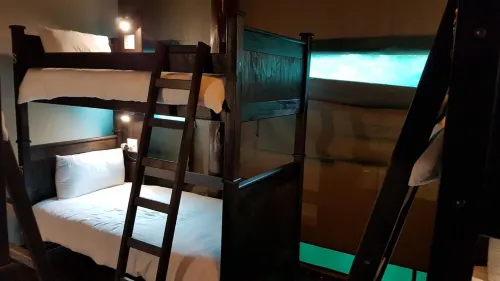 Tree Top Village Urban Glamping