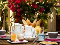 Hôtel le Chardon Bleu Hotels in Var