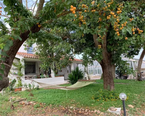 Agrib&B Il Pomo d'Oro Hotels in Assemini