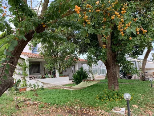 Agrib&B Il Pomo d'Oro Hotels in Siliqua