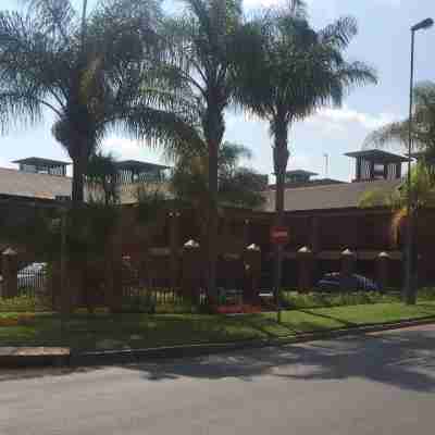 Cycad Guest House Hotel Exterior