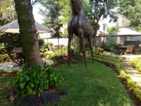 Twiga Sanctuary Resort Hotels near J . okwaro business park