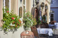 플레어 호텔 춤 스토르헨