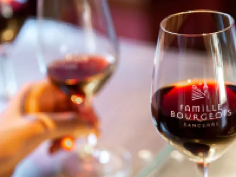 Hôtel Restaurant Famille Bourgeois "La Cote des Monts Damnés" Hotels in Sancerre