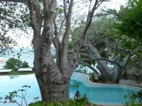 Peponi Hotel - Beach