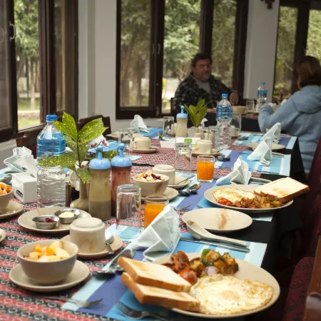 Jungle Safari Resort