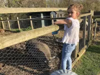 Willow Court Farm Studio West & Petting Farm, 8 Mins to Legoland & Windsor, 15 Mins to Lapland UK