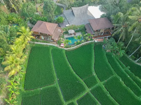 Gusde House and Villa Bali