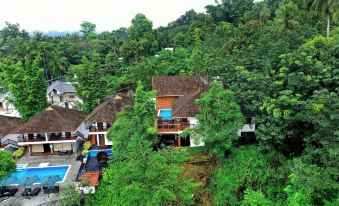 Athirapally Green Trees