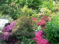 If You Want to Explore Lower Silesia, Sunny Apartment is the Perfect Location Hotels in Wroclawski