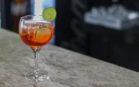 生態Privillege酒店 - 酒吧