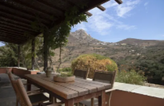 Under the Linden Tree Tinos