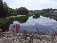Matty's Pub - Apartment's Hotels in Carlow