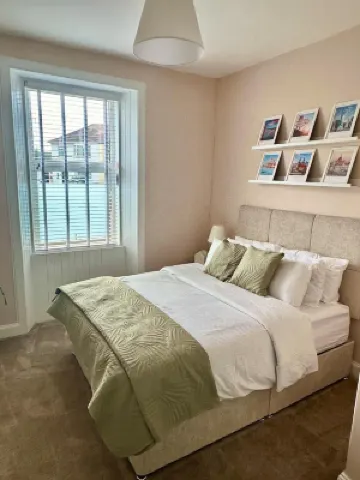 Prestwick Kingb PetsOk Freep Wifi Tv