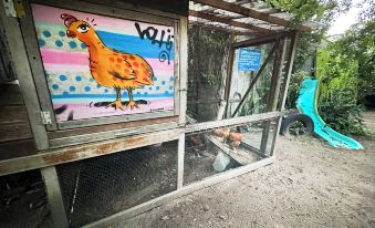 Quintal do Contêiner