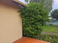 J&M GUEST HOUSE