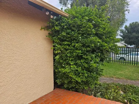 J&M GUEST HOUSE Отели рядом с достопримечательностью «Melville Koppies»