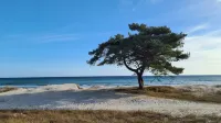 Kvarnviks Gård Close to Sea & Charming Country Stay