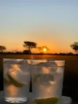 Africa Awaits Lodge & Safaris - bar