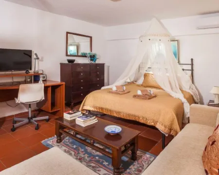 Harmony Platanidia Pelion Hoteles en Artemis